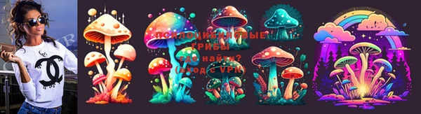 ГАЛЛЮЦИНОГЕННЫЕ ГРИБЫ Лиски