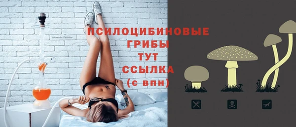 ГАЛЛЮЦИНОГЕННЫЕ ГРИБЫ Лиски