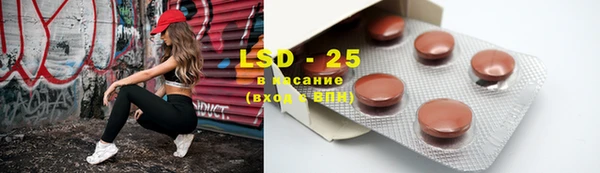 ГАЛЛЮЦИНОГЕННЫЕ ГРИБЫ Ладушкин