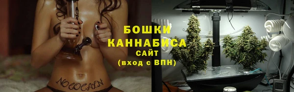 ГАЛЛЮЦИНОГЕННЫЕ ГРИБЫ Лиски