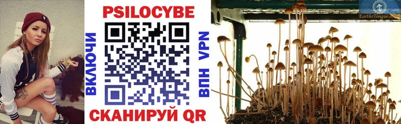 где можно купить   Миньяр  Галлюциногенные грибы прущие грибы 